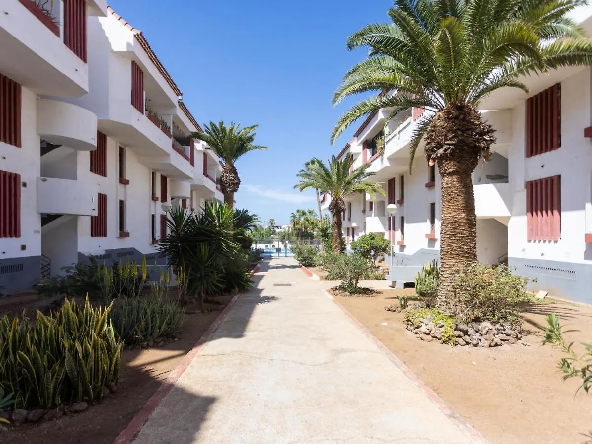 Apartment Deluxe Altemar By Interhome 플라야데라스아메리카스